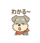 てくてくシュナ のんびり日常スタンプ（個別スタンプ：9）