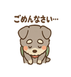 てくてくシュナ のんびり日常スタンプ（個別スタンプ：11）