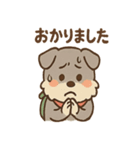 てくてくシュナ のんびり日常スタンプ（個別スタンプ：16）