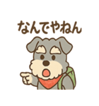 てくてくシュナ のんびり日常スタンプ（個別スタンプ：20）