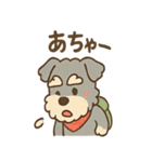 てくてくシュナ のんびり日常スタンプ（個別スタンプ：21）