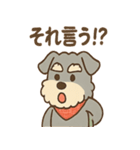 てくてくシュナ のんびり日常スタンプ（個別スタンプ：24）