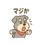 てくてくシュナ のんびり日常スタンプ（個別スタンプ：26）