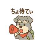 てくてくシュナ のんびり日常スタンプ（個別スタンプ：27）