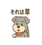 てくてくシュナ のんびり日常スタンプ（個別スタンプ：28）