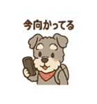てくてくシュナ のんびり日常スタンプ（個別スタンプ：29）