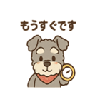 てくてくシュナ のんびり日常スタンプ（個別スタンプ：30）