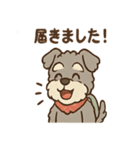てくてくシュナ のんびり日常スタンプ（個別スタンプ：31）