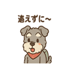 てくてくシュナ のんびり日常スタンプ（個別スタンプ：32）