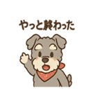 てくてくシュナ のんびり日常スタンプ（個別スタンプ：33）