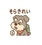 てくてくシュナ のんびり日常スタンプ（個別スタンプ：34）