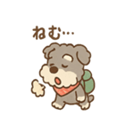 てくてくシュナ のんびり日常スタンプ（個別スタンプ：38）