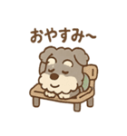 てくてくシュナ のんびり日常スタンプ（個別スタンプ：40）
