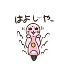 しろくま＆あざらし2（個別スタンプ：25）