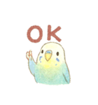 日常使い セキセイインコ（個別スタンプ：1）