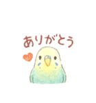 日常使い セキセイインコ（個別スタンプ：2）