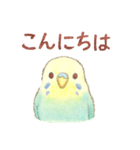 日常使い セキセイインコ（個別スタンプ：5）