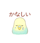 日常使い セキセイインコ（個別スタンプ：10）