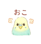 日常使い セキセイインコ（個別スタンプ：11）