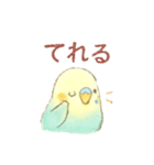 日常使い セキセイインコ（個別スタンプ：12）