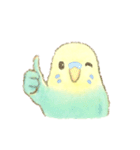 日常使い セキセイインコ（個別スタンプ：13）