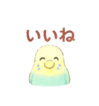日常使い セキセイインコ（個別スタンプ：14）