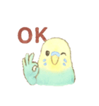 日常使い セキセイインコ（個別スタンプ：15）