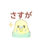 日常使い セキセイインコ（個別スタンプ：16）