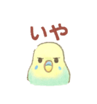 日常使い セキセイインコ（個別スタンプ：17）