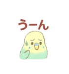 日常使い セキセイインコ（個別スタンプ：19）