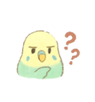 日常使い セキセイインコ（個別スタンプ：21）