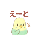 日常使い セキセイインコ（個別スタンプ：23）