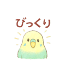 日常使い セキセイインコ（個別スタンプ：24）