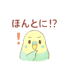 日常使い セキセイインコ（個別スタンプ：25）