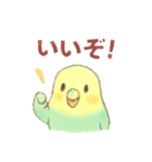 日常使い セキセイインコ（個別スタンプ：29）