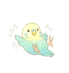 日常使い セキセイインコ（個別スタンプ：32）