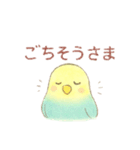 日常使い セキセイインコ（個別スタンプ：36）