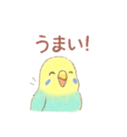 日常使い セキセイインコ（個別スタンプ：37）