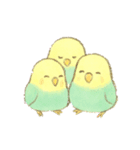 日常使い セキセイインコ（個別スタンプ：39）
