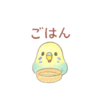 日常使い セキセイインコ（個別スタンプ：40）