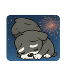 花火とキリッとシュナウザー@SFW（個別スタンプ：23）