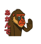 鳥取・米子のマンドリルさん（個別スタンプ：1）