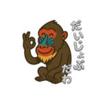 鳥取・米子のマンドリルさん（個別スタンプ：3）