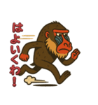 鳥取・米子のマンドリルさん（個別スタンプ：7）