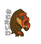 鳥取・米子のマンドリルさん（個別スタンプ：9）
