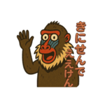 鳥取・米子のマンドリルさん（個別スタンプ：10）