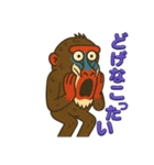 鳥取・米子のマンドリルさん（個別スタンプ：11）