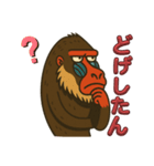 鳥取・米子のマンドリルさん（個別スタンプ：12）