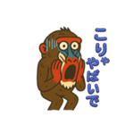 鳥取・米子のマンドリルさん（個別スタンプ：15）