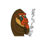 鳥取・米子のマンドリルさん（個別スタンプ：21）